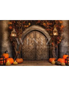 Photography Background in Fabric Halloween Rustic Door / Backdrop 3726