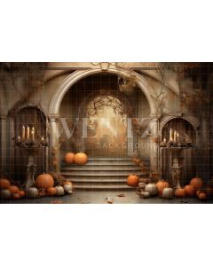 Photography Background in Fabric Halloween Set / Backdrop 3739
