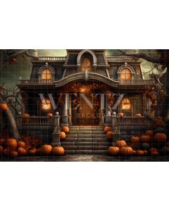 Photography Background in Fabric Haunted House / Backdrop 3756