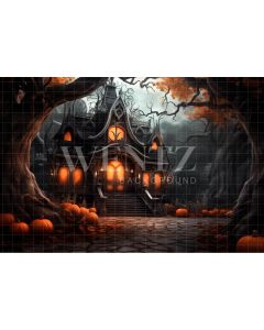 Photography Background in Fabric Haunted House / Backdrop 3757
