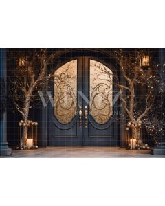 Photography Background in Fabric Christmas Door / Backdrop 3842