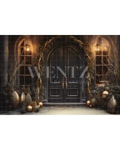 Photography Background in Fabric Luxury Door / Backdrop 3849