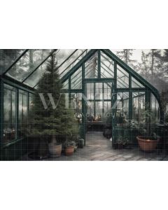 Photography Background in Fabric Greenhouse with Pine Tree / Backdrop 4202
