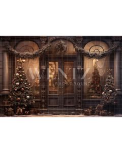 Photography Background in Fabric Christmas Store / Backdrop 4210