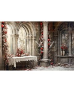 Photography Background in Fabric Christmas Set / Backdrop 4221