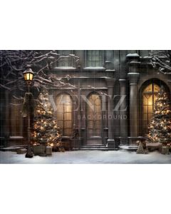 Photography Background in Fabric Christmas Facade / Backdrop 4227