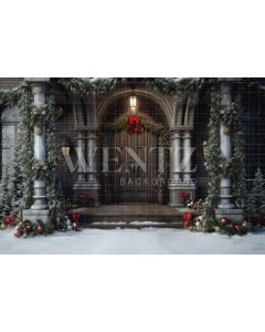 Photography Background in Fabric Christmas Facade / Backdrop 4290