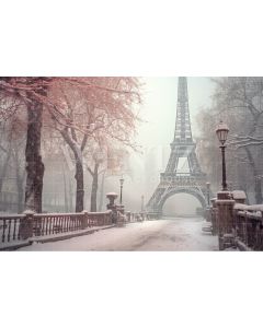 Photography Background in Fabric Winter in Paris / Backdrop 4383