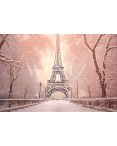  Photography Background in Fabric Winter in Paris / Backdrop 4385