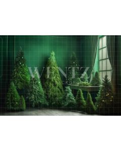 Photography Background in Fabric Christmas Green Room / Backdrop 4567