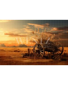 Photography Background in Fabric Wagon / Backdrop 4771