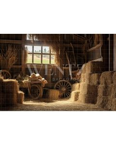 Photography Background in Fabric Barn / Backdrop 4774
