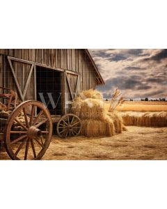Photography Background in Fabric Barn / Backdrop 4778