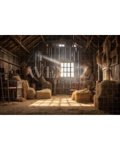 Photography Background in Fabric Barn / Backdrop 4783