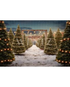 Photographic Background in Fabric Pine Tree Cultivation / Backdrop 5068