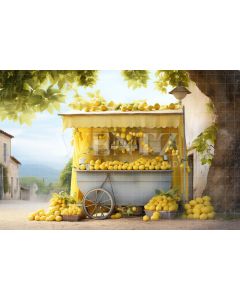 Photographic Background in Fabric Lemon Stand / Backdrop 5123