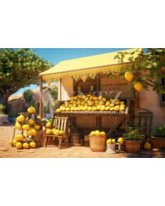 Photographic Background in Fabric Lemonade Stand / Backdrop 5134