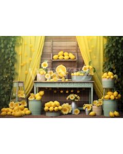 Photographic Background in Fabric Lemonade Stand / Backdrop 5151