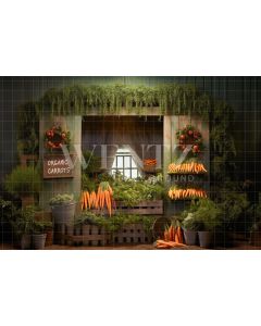 Photography Background in Fabric Easter Carrot Stand / Backdrop 5201