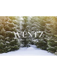 Photography Background in Fabric Christmas / Backdrop 812