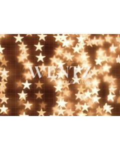 Photography Background in Fabric Christmas / Backdrop 892