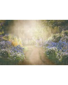 Photography Background in Fabric Flowery Path in Spring / Backdrop CW173