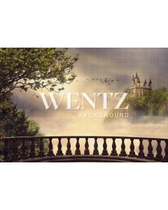 Photography Background in Fabric Castle / Backdrop 2299
