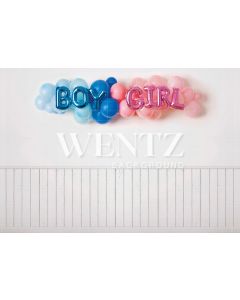 Photography Background in Fabric Gender Reveal / Backdrop 2240