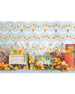 Photography Background in Fabric Oranges / Backdrop 2289