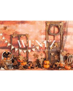 Photography Background in Fabric Fall Doors / Backdrop 2291