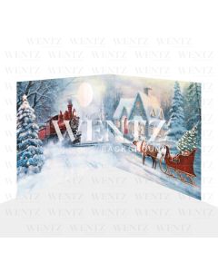 Photography Background in Fabric Christmas Set 2D / WTZ126