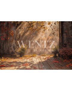 Photography Background in Fabric Fall 2024 / Backdrop 5924