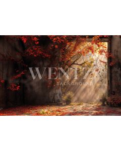 Photography Background in Fabric Fall 2024 / Backdrop 5925