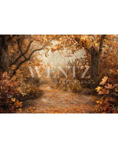 Photography Background in Fabric Forest Fall 2024 / Backdrop 5947