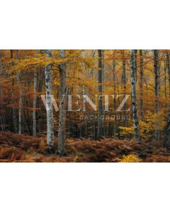 Photography Background in Fabric Forest Fall 2024 / Backdrop 5951