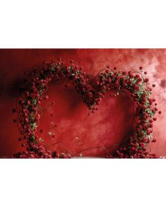 Photography Background in Fabric Valentine's Day 2024 / Backdrop 6022