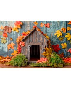 Photography Background in Fabric for Pets Photoshoot Fall / Backdrop  6077