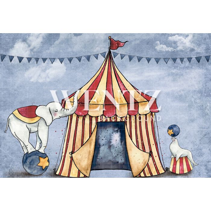 Photography Background in Fabric Circus / Backdrop 1587
