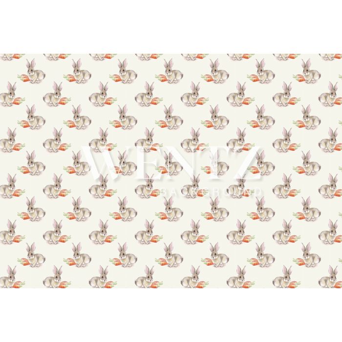 Photography Background in Fabric Easter Bunny / Backdrop 1653