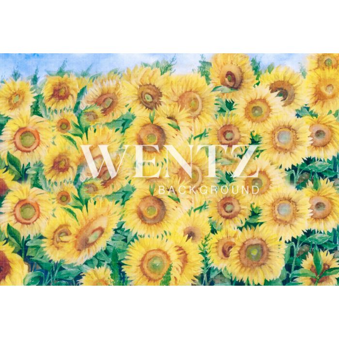 Photography Background in Fabric Sunflower Field / Backdrop 1903