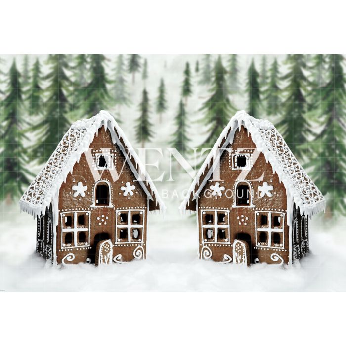 Photography Background in Fabric Christmas House / Backdrop 1912