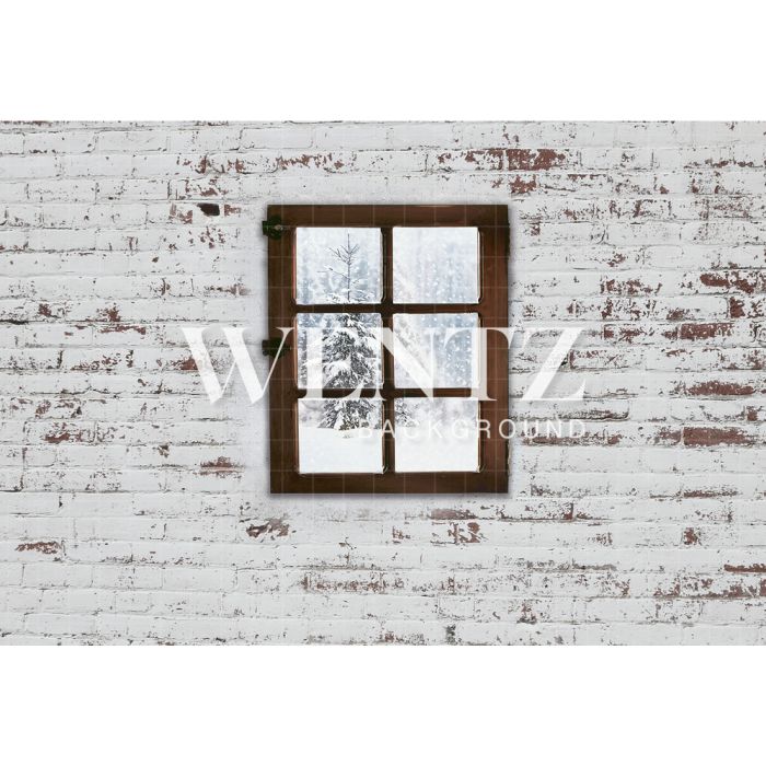 Photography Background in Fabric Wall and Window Newborn / Backdrop 1975