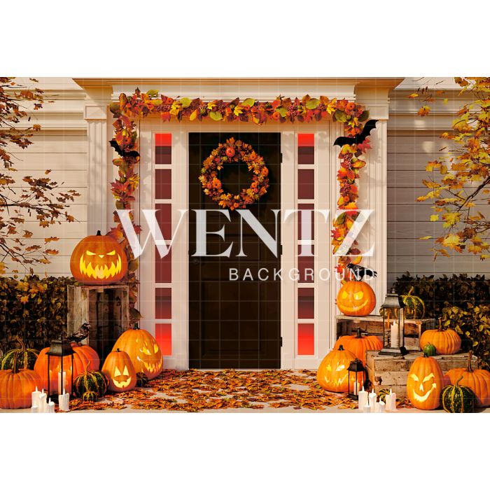 Photographic Background in Fabric House Facade With Halloween Decorations / Backdrop 2359