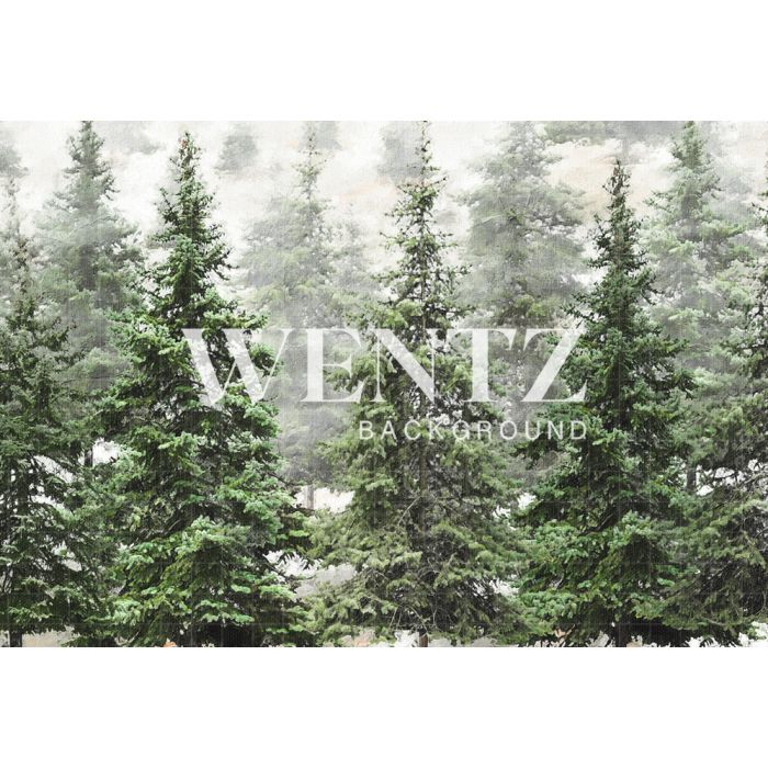 Photography Background in Fabric Pine Forest / Backdrop 2370