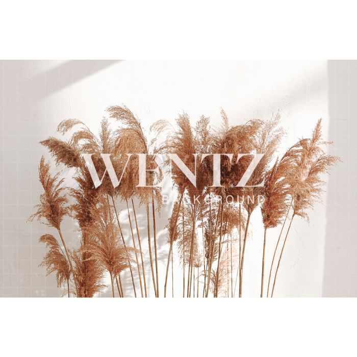 Photography Background in Fabric Pampas Grass / Backdrop 2437