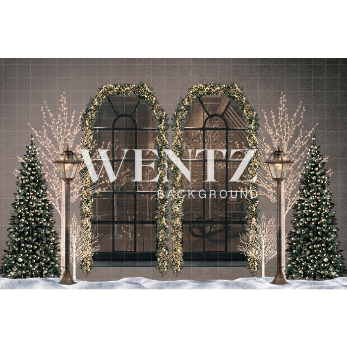 Photography Background in Fabric Christmas Window / Backdrop 2494