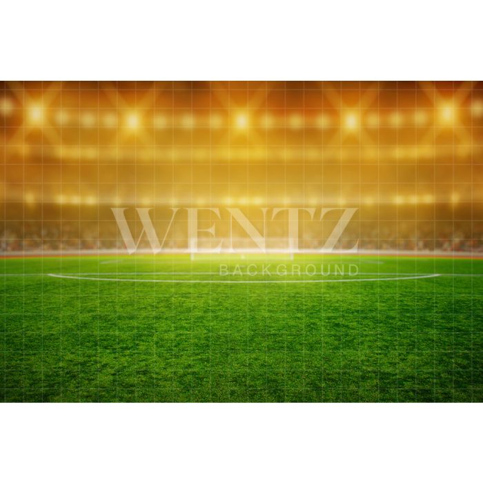 Photography Background in Fabric World Cup Soccer Stadium / Backdrop 2533