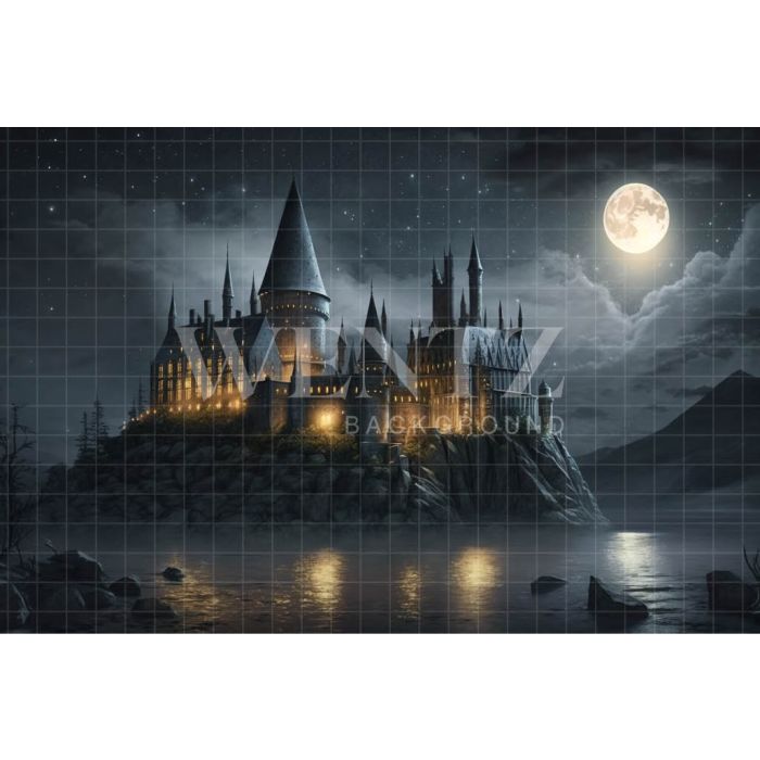 Photography Background in Fabric Wizarding School / Backdrop 3456