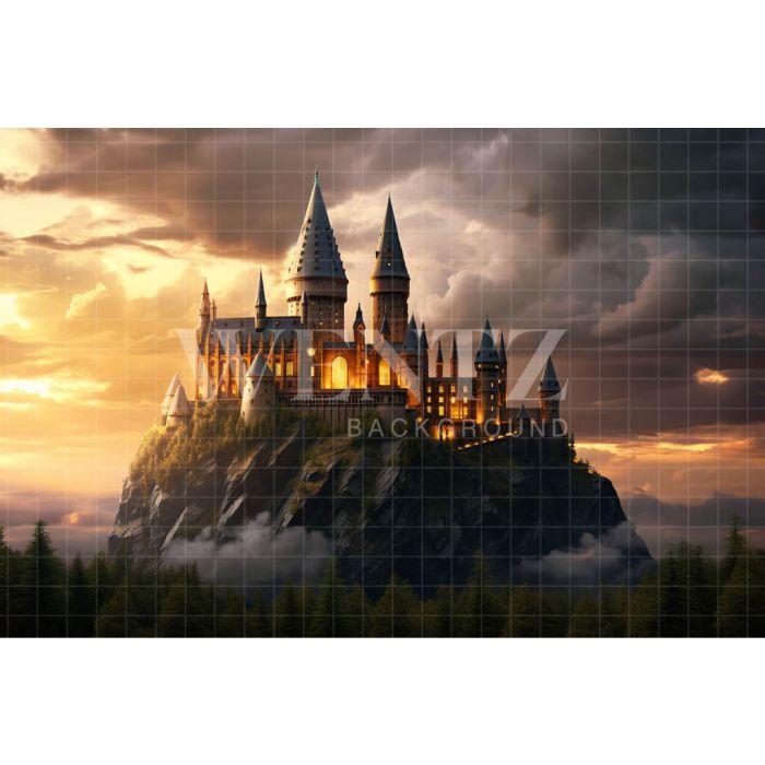 Photography Background in Fabric Wizard's Castle / Backdrop 3485