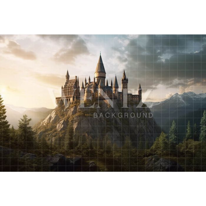 Photography Background in Fabric Wizard's Castle / Backdrop 3486